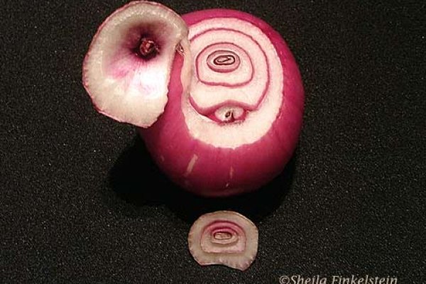 BlackSprutruzxpnew4af onion com tor